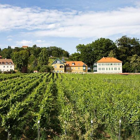 فيلا Weingut Haus Steinbach راديبول المظهر الخارجي الصورة