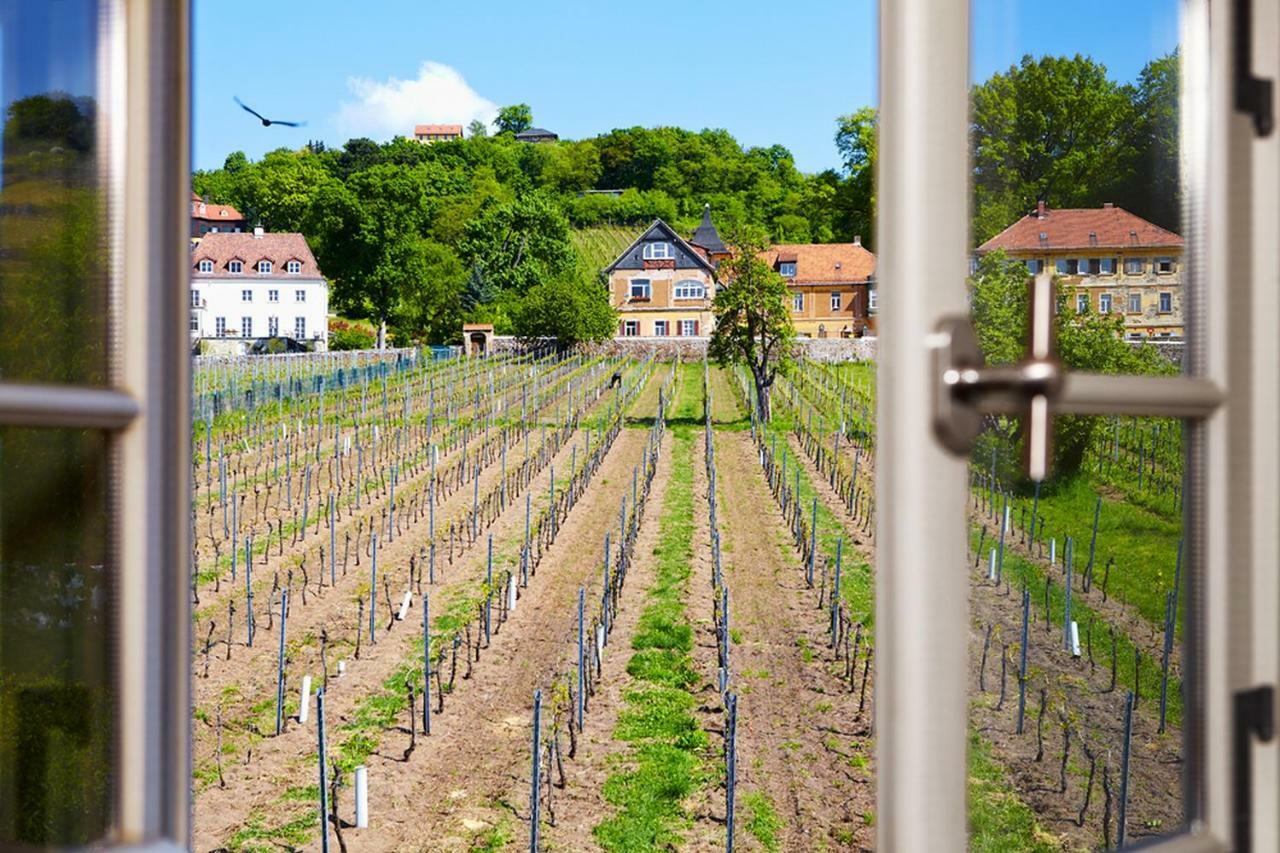 فيلا Weingut Haus Steinbach راديبول المظهر الخارجي الصورة