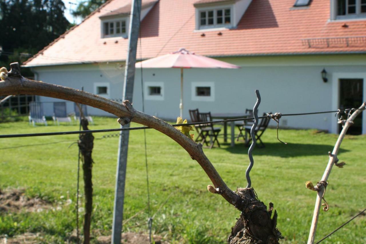 فيلا Weingut Haus Steinbach راديبول المظهر الخارجي الصورة